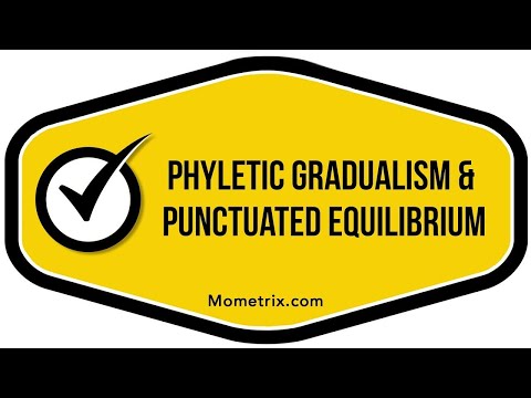 Phyletic Gradualism and Punctuated Equillibrium