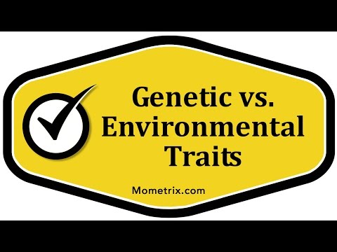 Genetic vs. Environmental Traits