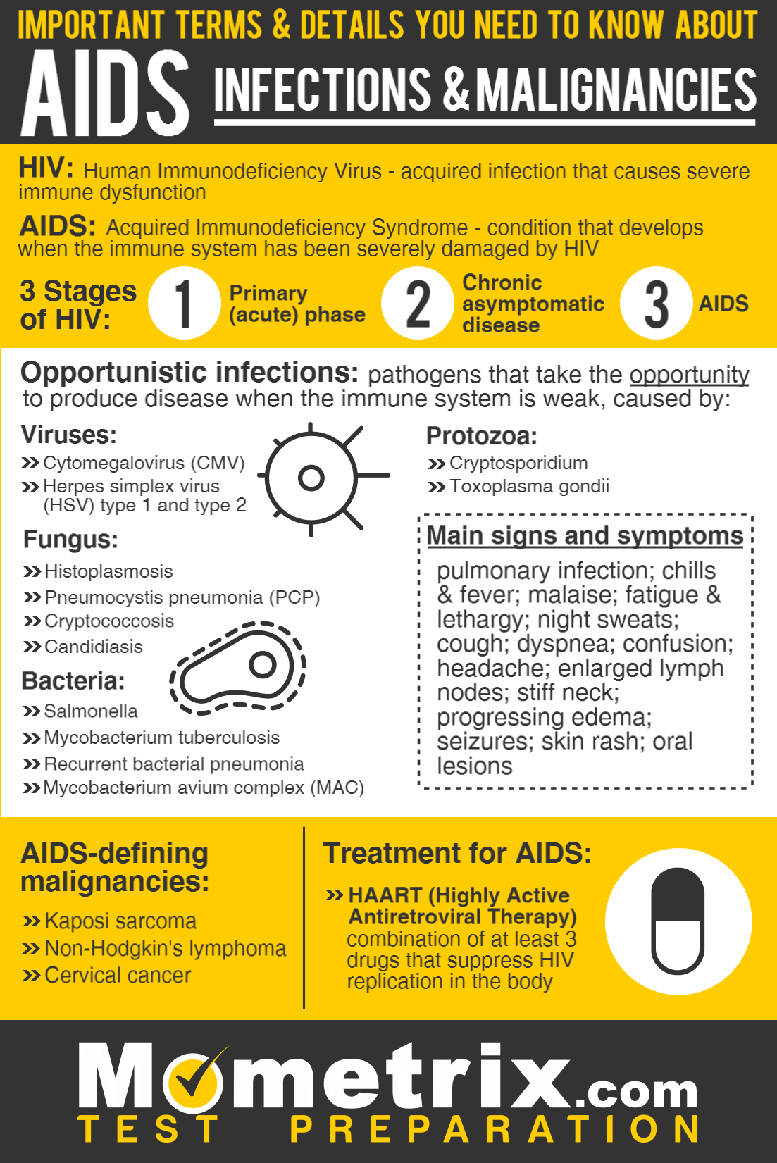 What you need to know about AIDS