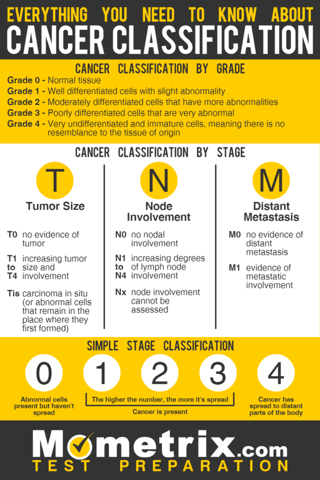 What You Need to Know About Cancer Classifications