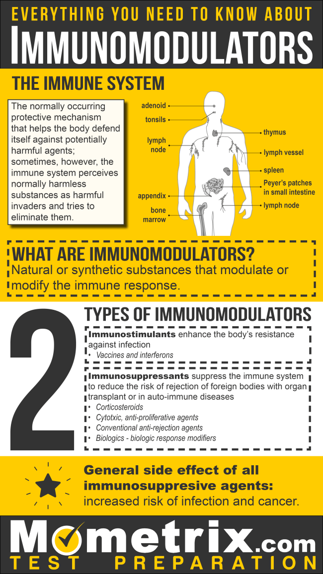 Everything You Need to Know about Immunomodulators and Immunosuppressive Agents