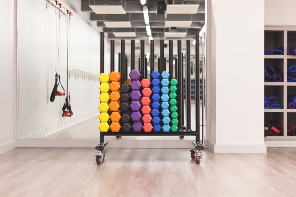 Basics of Health and Fitness