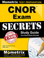 Study Guide