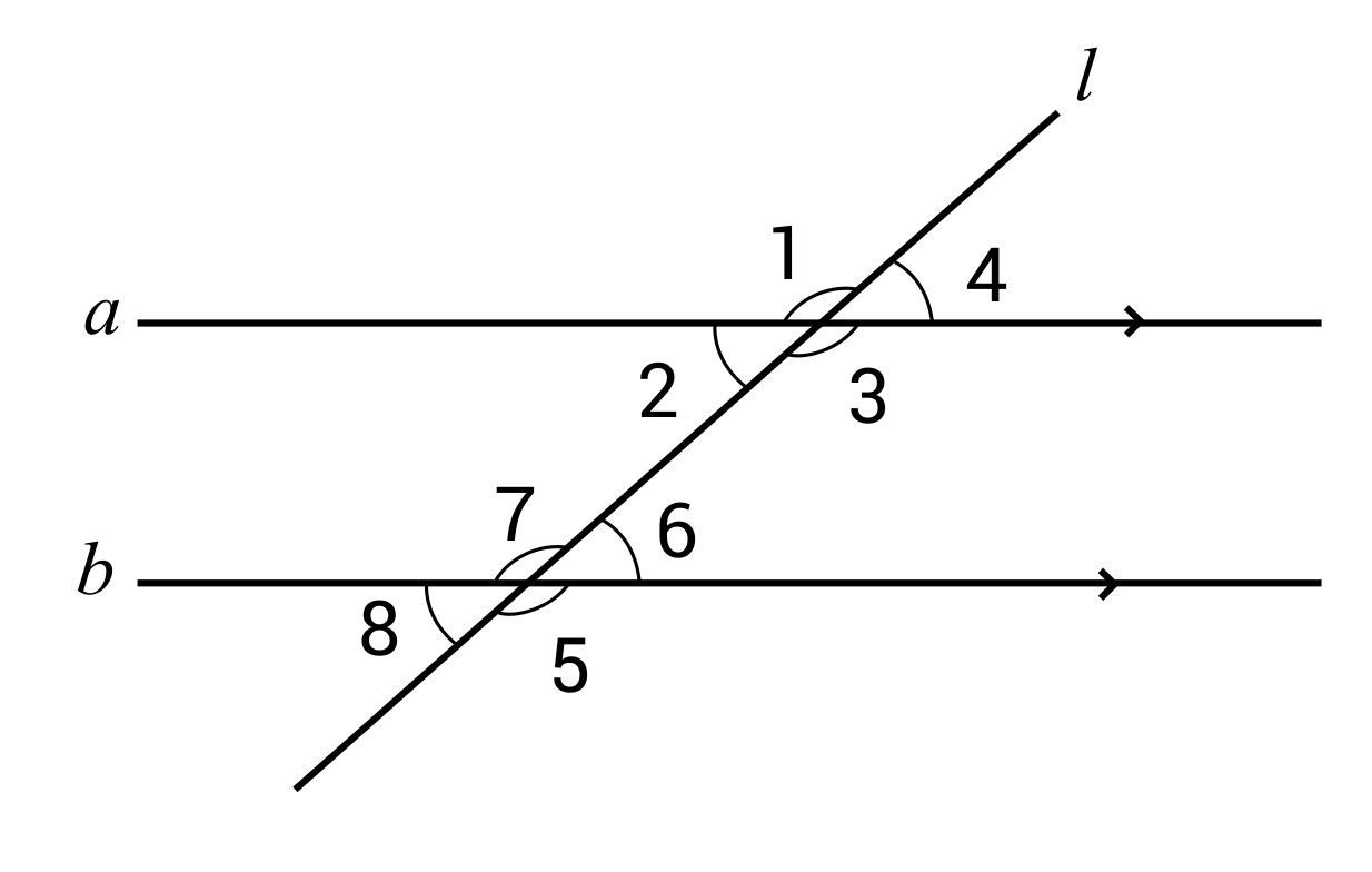 Image of parallel lines a and b and a transversal line (l)