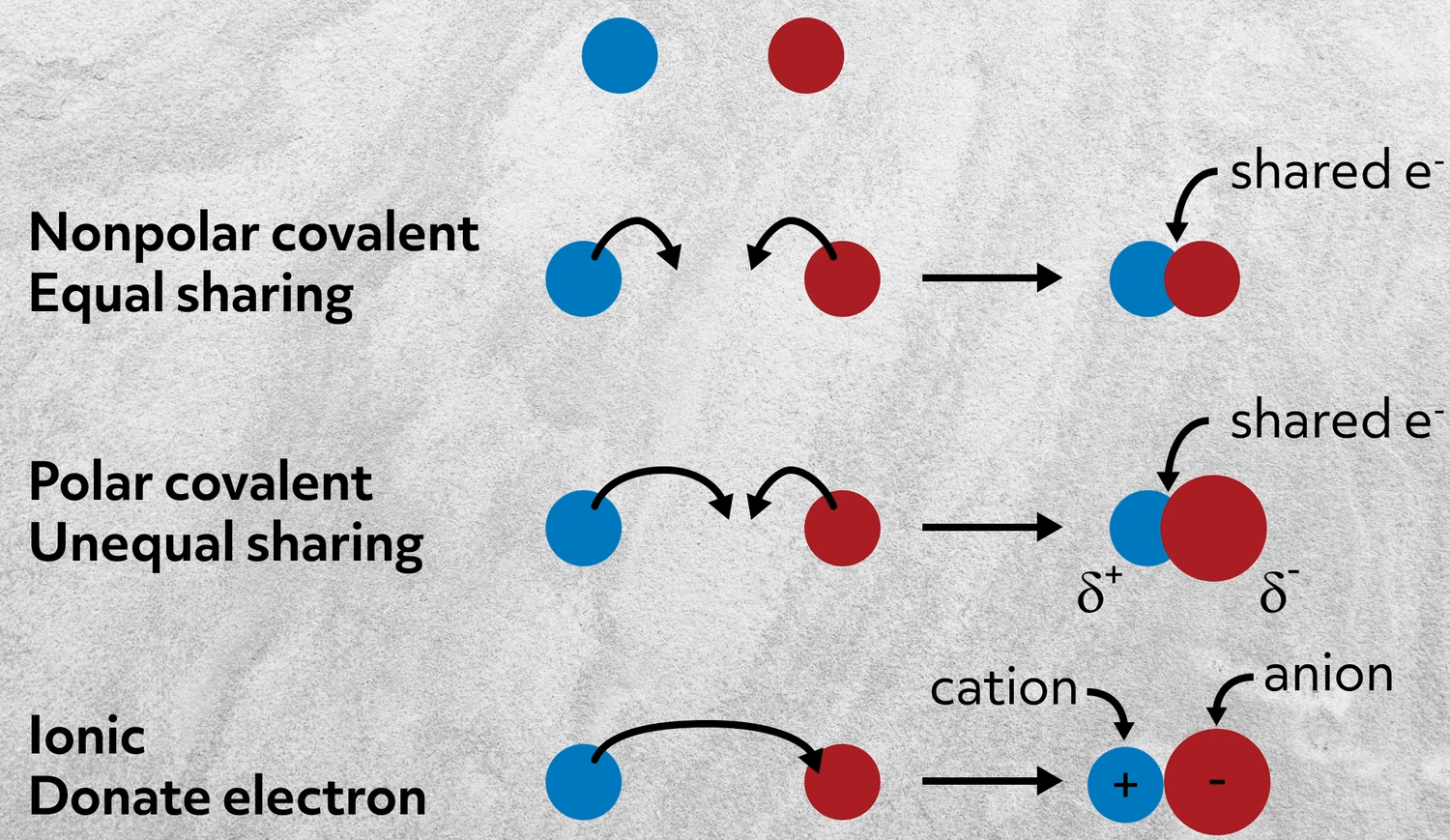 atom bonds