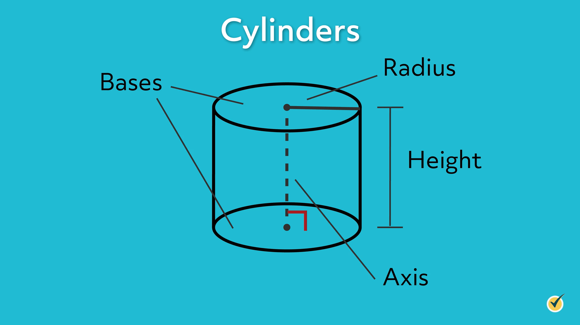 dimensions of a cylinder