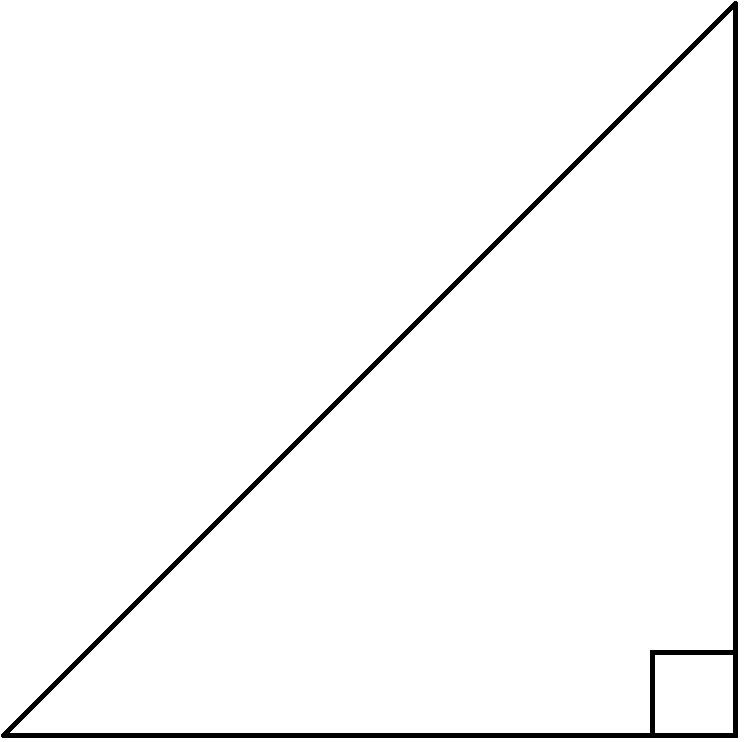 A right triangle with a small square indicating the right angle