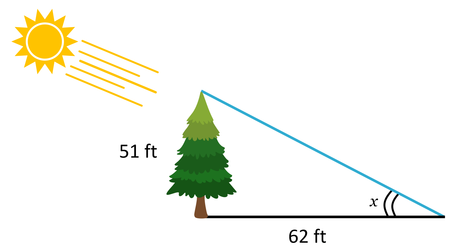 Tree length of 51ft casting a shadow that is 62ft