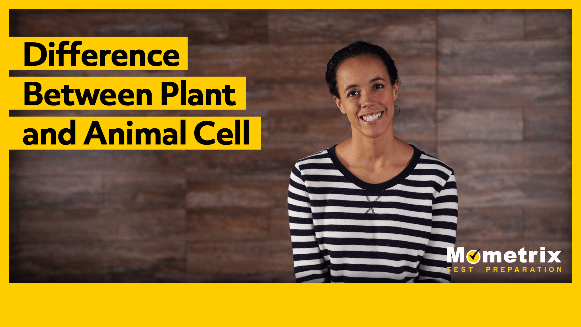 Difference Between Plant and Animal Cells (Video)