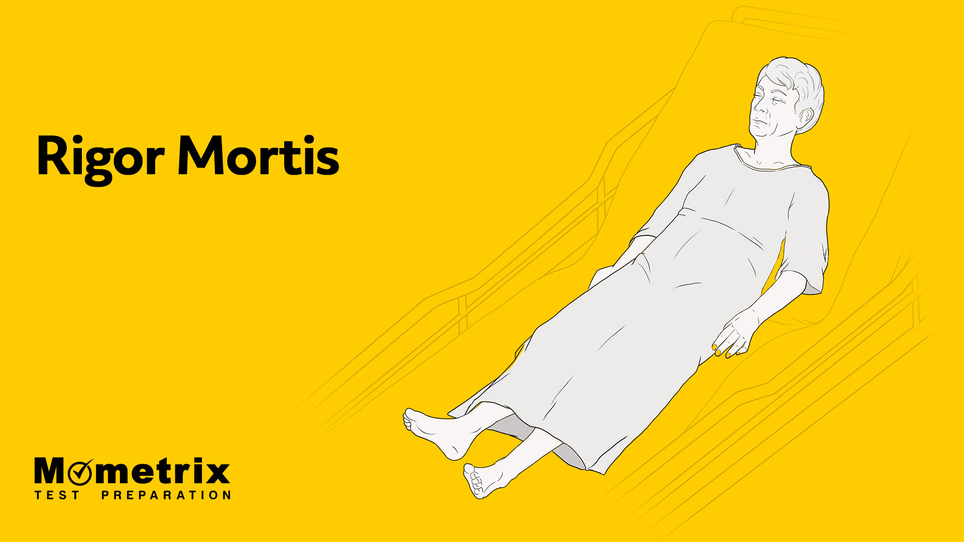 Livor Mortis Stages