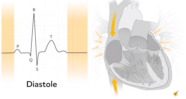 diastole blood pressure reading