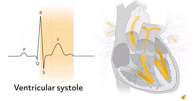 systole blood pressure reading