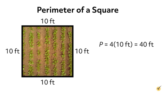 perimeter of a square 10 ft by 10 ft