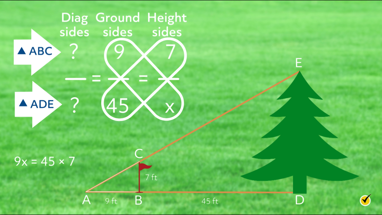 tree diagram