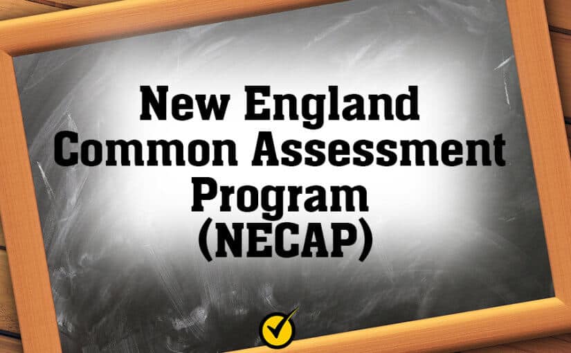 New England Common Assessment Program