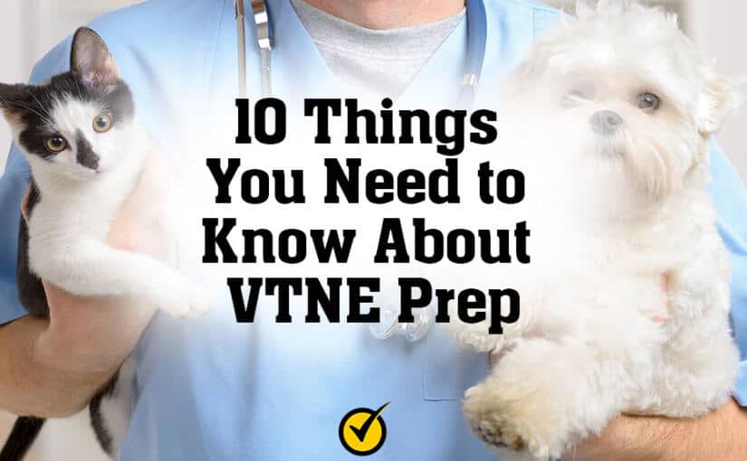 10 Think You Need to Know About VTNE Prep