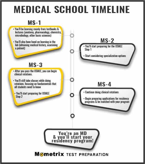 Med School Time Line