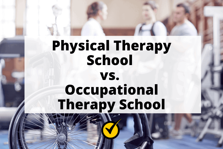 Physical Therapy School vs. Occupational Therapy School