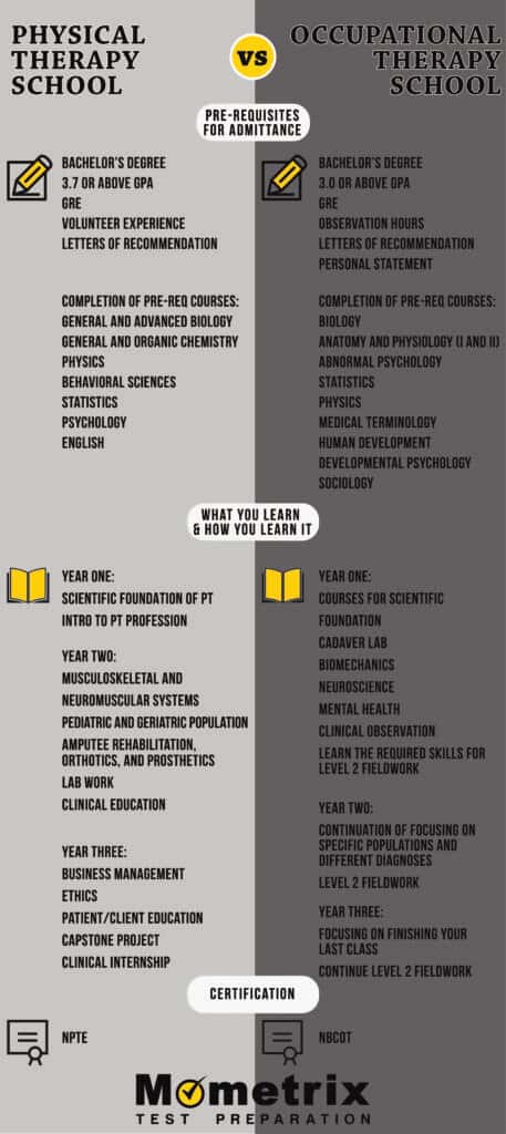 Physical Therapy School vs. Occupational Therapy School