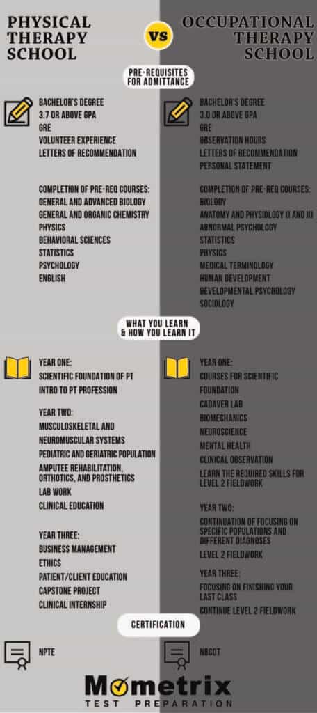 Physical Therapy School vs Occupational Therapy School
