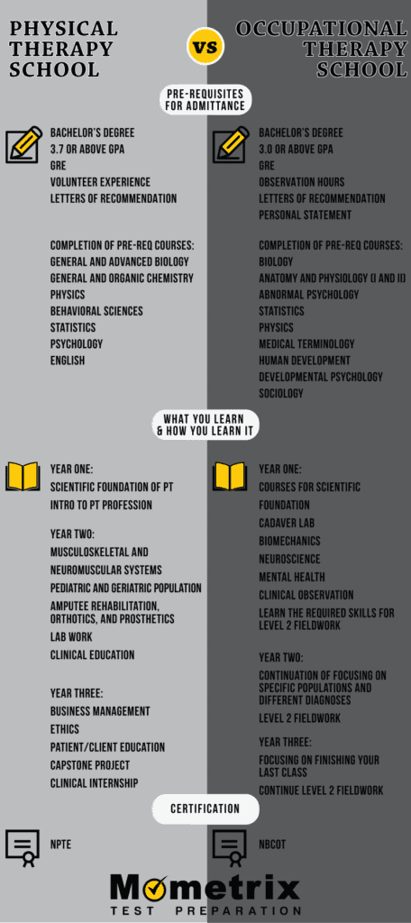 Physical Therapy School vs. Occupational Therapy School