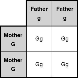 mother and father