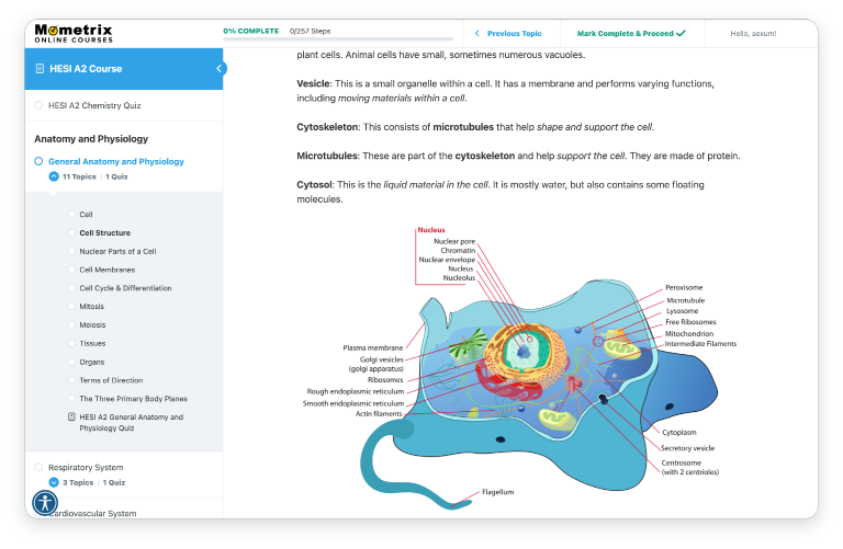 Mometrix online course example page.