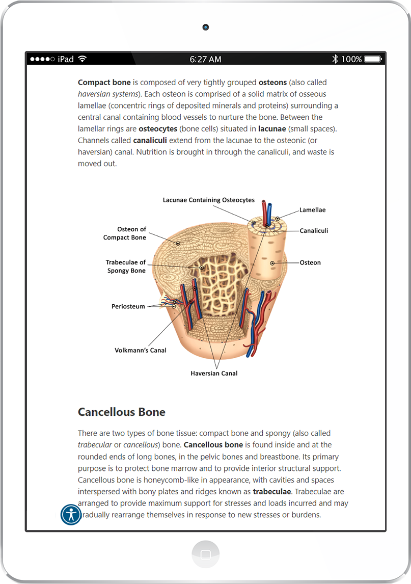 VTNE Exam Prep Course Mometrix Online Courses VTNE Exam Prep Course Mometrix Online Courses